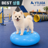 블루 × 1개
