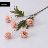가을 핑크 × 1개