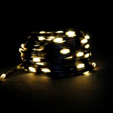 검정선-전구색 × 1세트