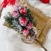 雪花紅漿果 × 1個