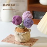 鬱金香 - 粉紫漸變 × 1個