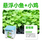 快樂水草杯-愛情草(小魚+小雞) × 1個
