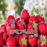 01. 딸기f.o x 20ml × 1개