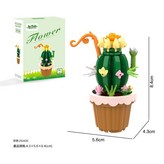仙人球 彩盒裝 × 1套