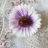 學長加油,出貨因紙箱單邊側貼箱底、可手撥後續整理 × 1個