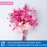 【乾花束】粉色滿天星 × 1個