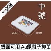 中號 × 1個