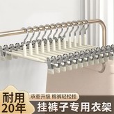 家用【夾子23-31cm可調】慕斯粉,20個夾【10套裝+夾力強勁不生鏽】力強 × 1個