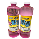 단일색상