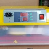 14. 24 pairs × 1개