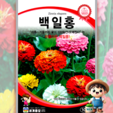 1개