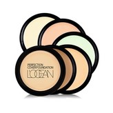 21 클리어베이지