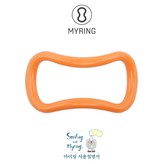 하드-오렌지 × 1개