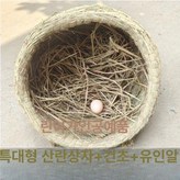 특대형 35x40cm 4kg 이하