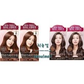 초콜렛브라운6C