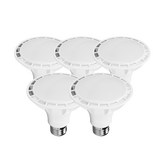 2. 확산형 전구색(노란빛)