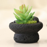 화산석다육화분 에케베리아 그린 × 1개
