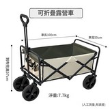 8寸窄輪大管 米色 綠色 × 1個
