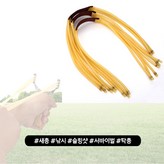 단일색상