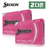 레이디핑크 × 2개