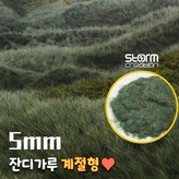 옵션 01