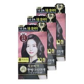 6W 와인 갈색