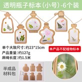 透明瓶子標本(小號)-6個裝 × 1個