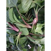 울릉도생취나물500g × 1개