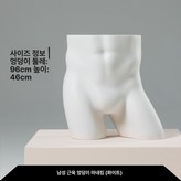 남성 근육질 엉덩이 모델 화이트 × 1개
