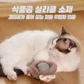그레이 래빗형