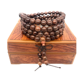 흑장미목 × 1개