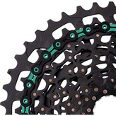 DLC12 Bianchi綠 × 1個
