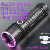 600W 단일 배터리 × 1개