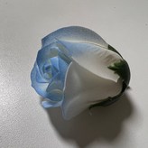 1小朵碎冰藍（無包裝無禮品） × 1個