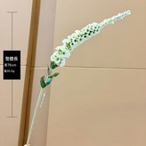 白色 × 1個