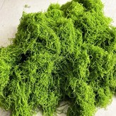 團狀 按重量50克價格 淺綠色 × 1個