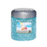 스피어스_바하마브리즈