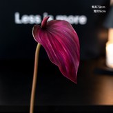 花開大紅掌紫紅:1個 × 1個