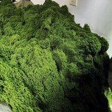 團狀 按重量50克 價格 深綠色 × 1個