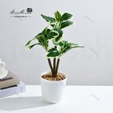 023518 三頭綠植小盆景（塑料花盆） × 1個