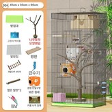 호수 블루 생태 다람쥐 우리 나무 10 × 1개