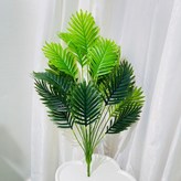 70CM散尾葵 無配重盆無花籃 70釐米 × 1件