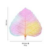 加厚樹葉濾網 幻彩色 × 1套