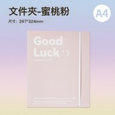 資料夾-粉色X5份 × 1個