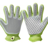 牛油果（一面擼貓一面刮毛） × 1個