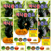 5개