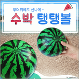 무지탱탱볼 × 1개