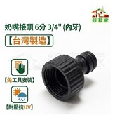 歐規內細牙 × 1個