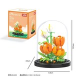 椿嶼花園 彩盒裝 × 1套