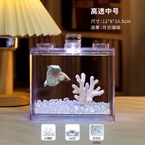 中號高透【月光石+珊瑚】 × 1個